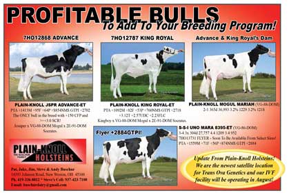 Holstein Exclusive 2017